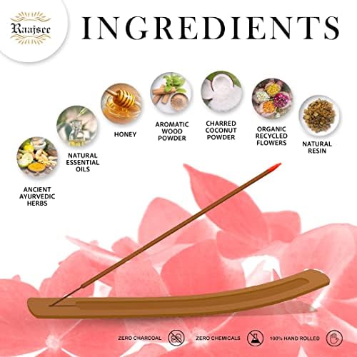 Raajsee Dragon Blood Incense Sticks 100 Gm Pack