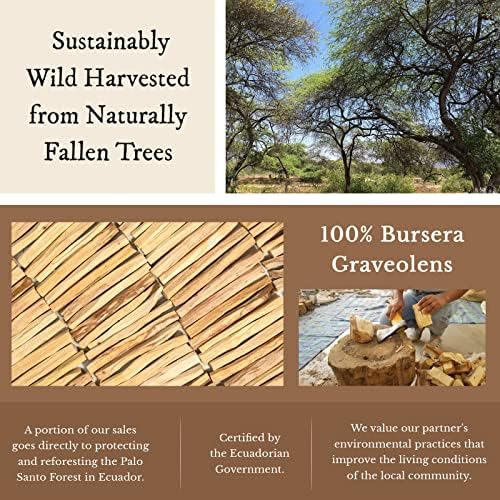 Shamans Market Palo Santo Incense Sticks - 2 oz Bag - Natural Purifying