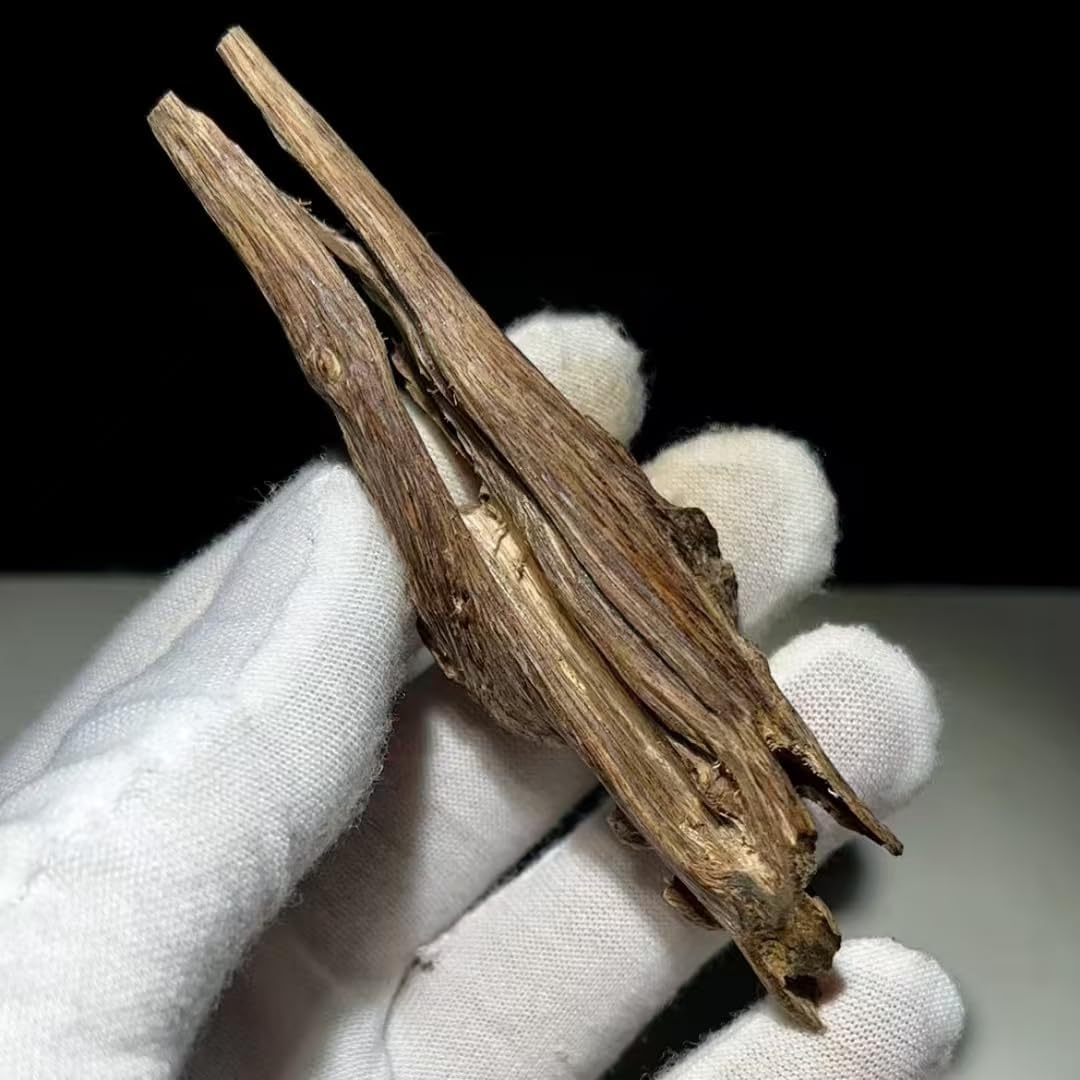 Natural Agarwood Coil Incense with 10 Packets in a Small Jar