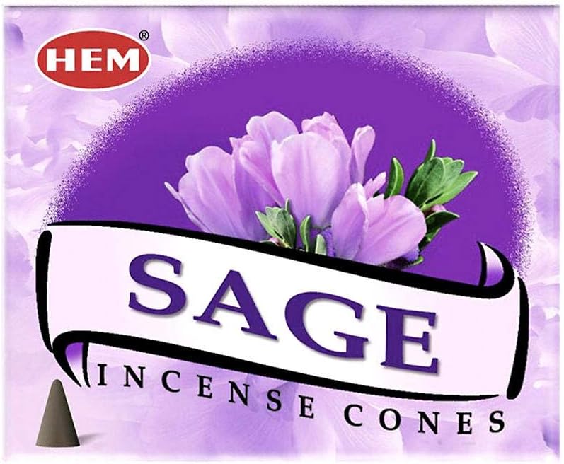 HEM Sage Salvia Incense Cones 12 Pack 120 Total