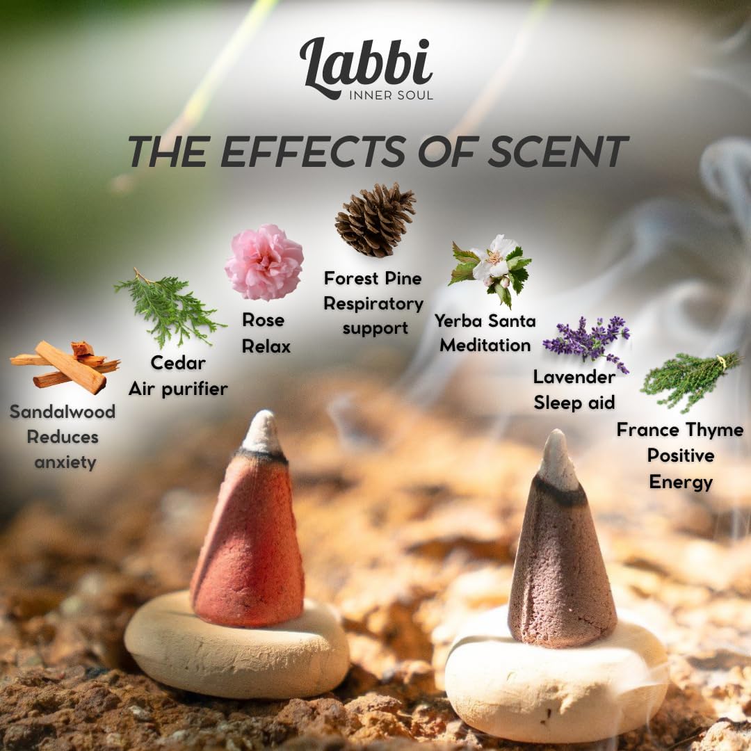 Labbi Incense Cones - 20 Natural Sandalwood Fragrance for Relaxation and Meditation