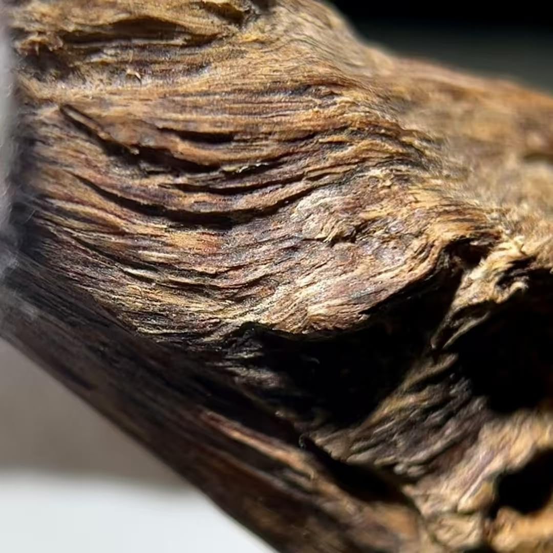 Natural Agarwood Coil Incense with 10 Packets in a Small Jar