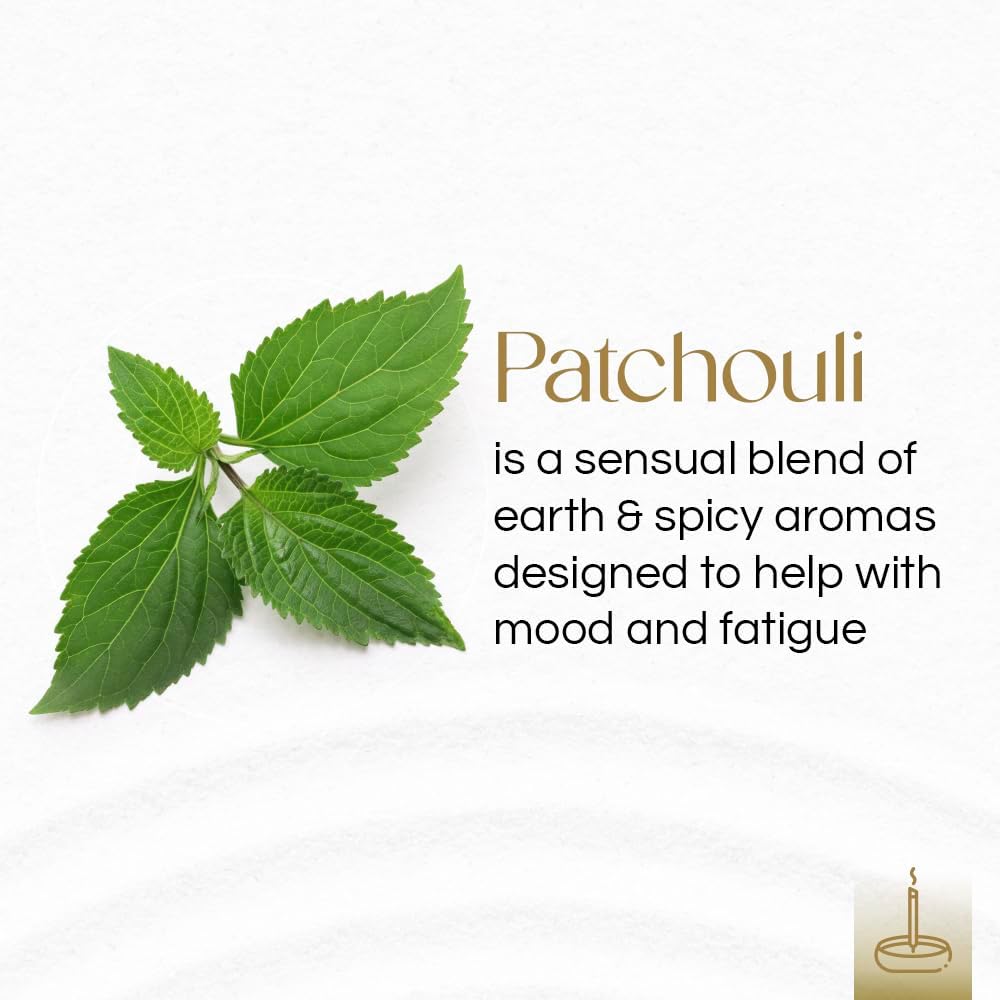 Gonesh Extra Rich Scented Incense Sticks - Patchouli 10 Inch 4 Packs