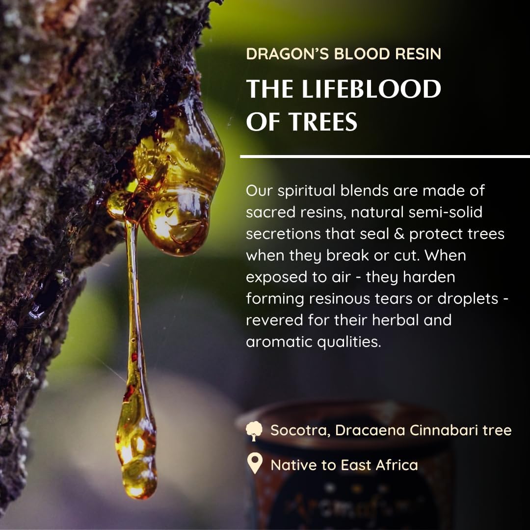 Aromafume Dragons Blood Incense Bricks 3 Trays x 9 Pieces Each Refill Pack