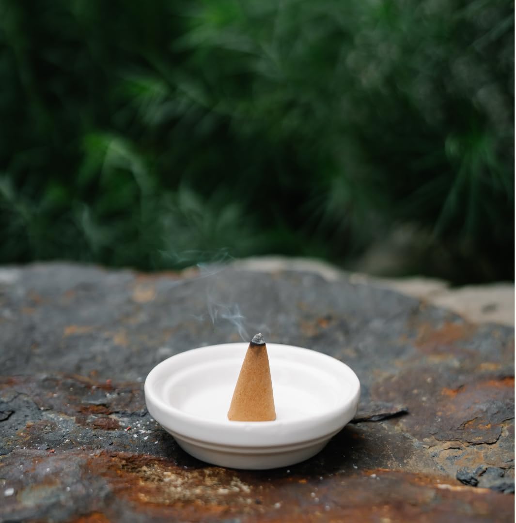 Bless International Patchouli Natural Incense Cones 10 Count