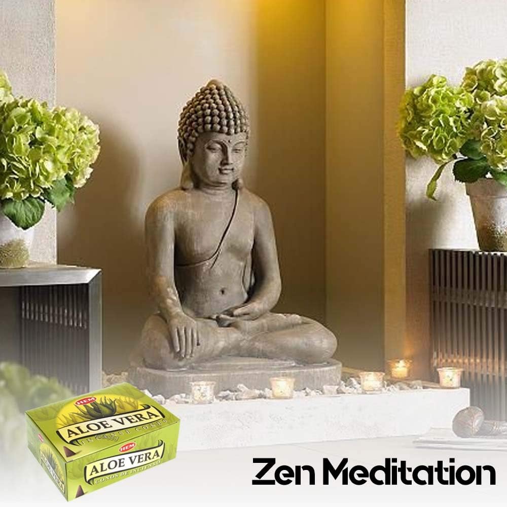 HEM Aloe Vera Incense Case of 12 Boxes