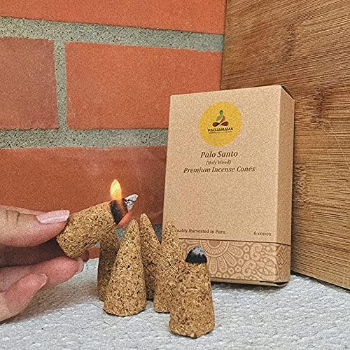 Palo Santo Holy Wood Incense Cones 6 Pack