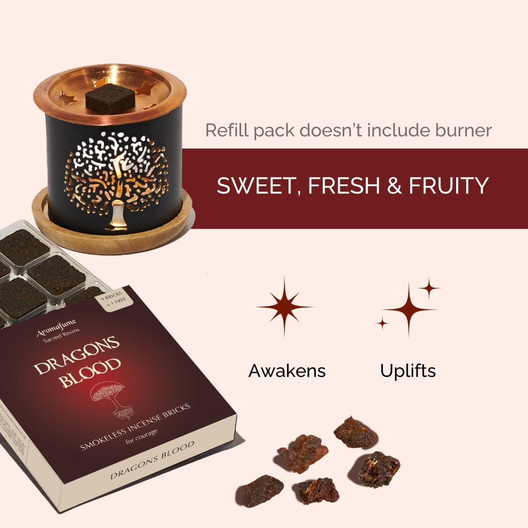 Aromafume Dragons Blood Incense Bricks 3 Trays x 9 Pieces Each Refill Pack