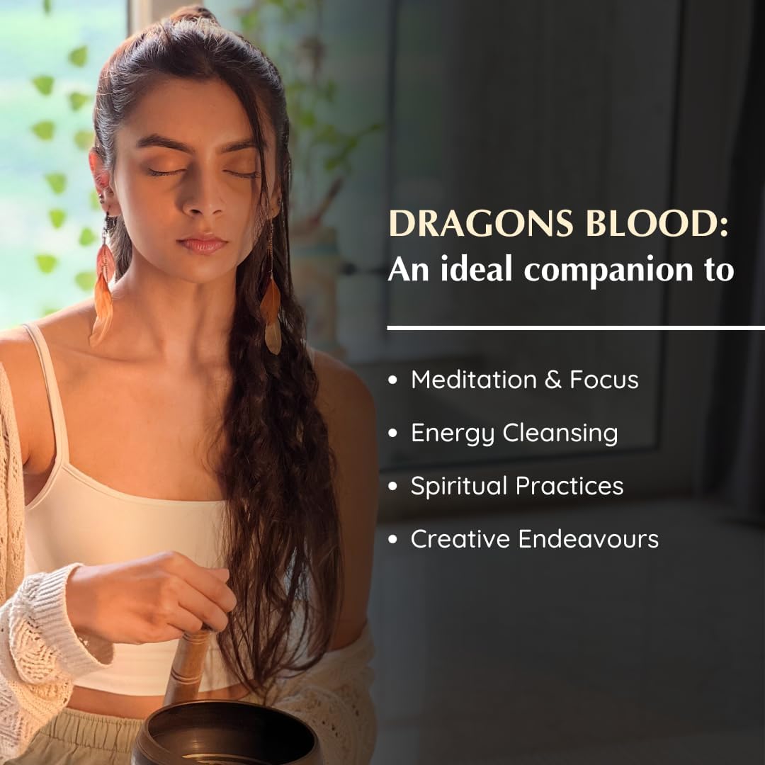 Aromafume Dragons Blood Incense Bricks 3 Trays x 9 Pieces Each Refill Pack
