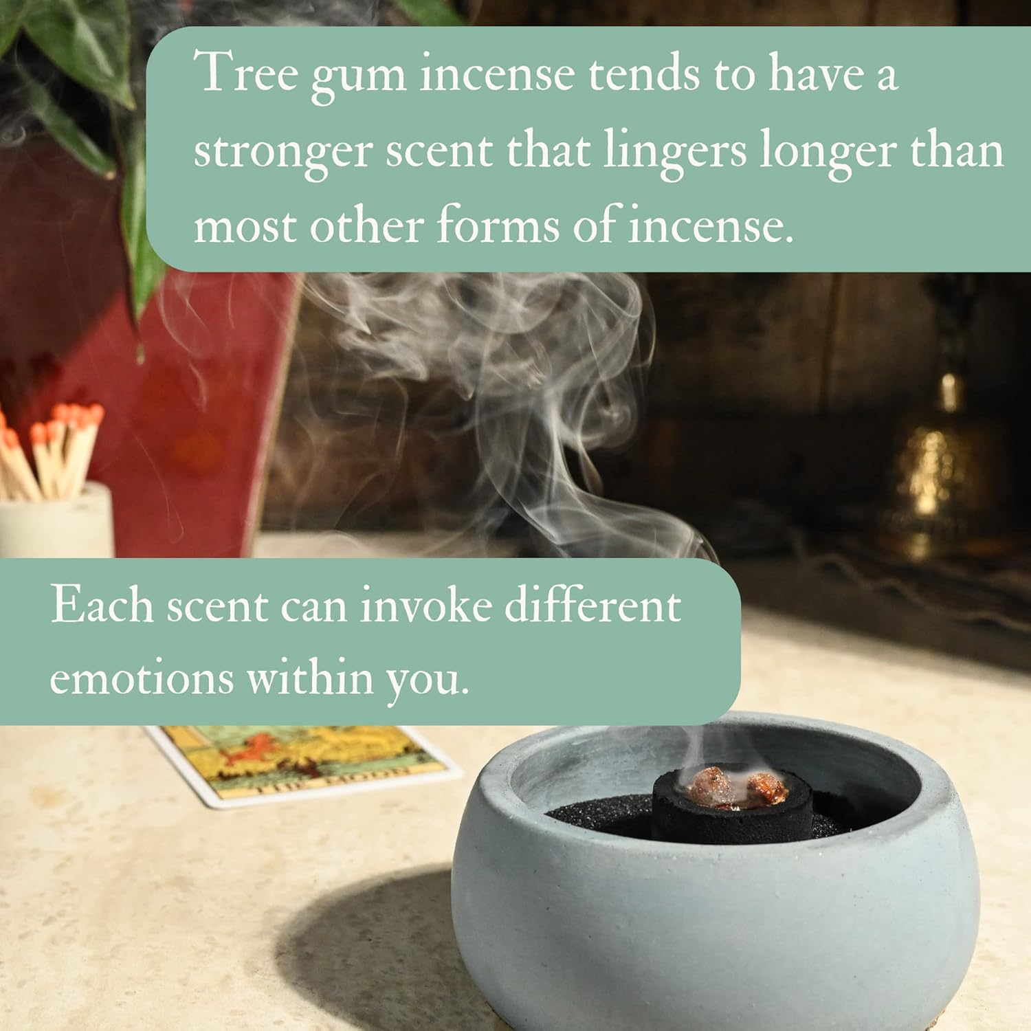 Shamans Market Copal Resin Incense - Peruvian Negro - Black - 1 oz 1
