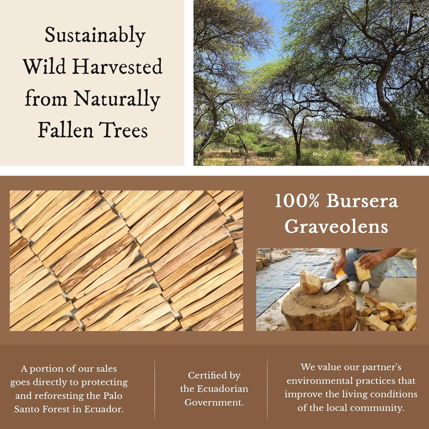 Shamans Market Palo Santo Incense Sticks - 2 oz Bag - Natural Purifying