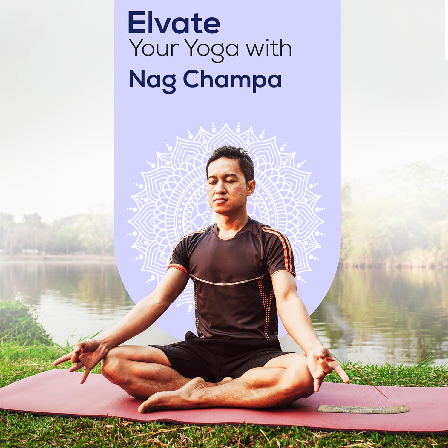 Satya Nag Champa Incense Sticks 2 Pack 200 GMS with Raajsee Holder