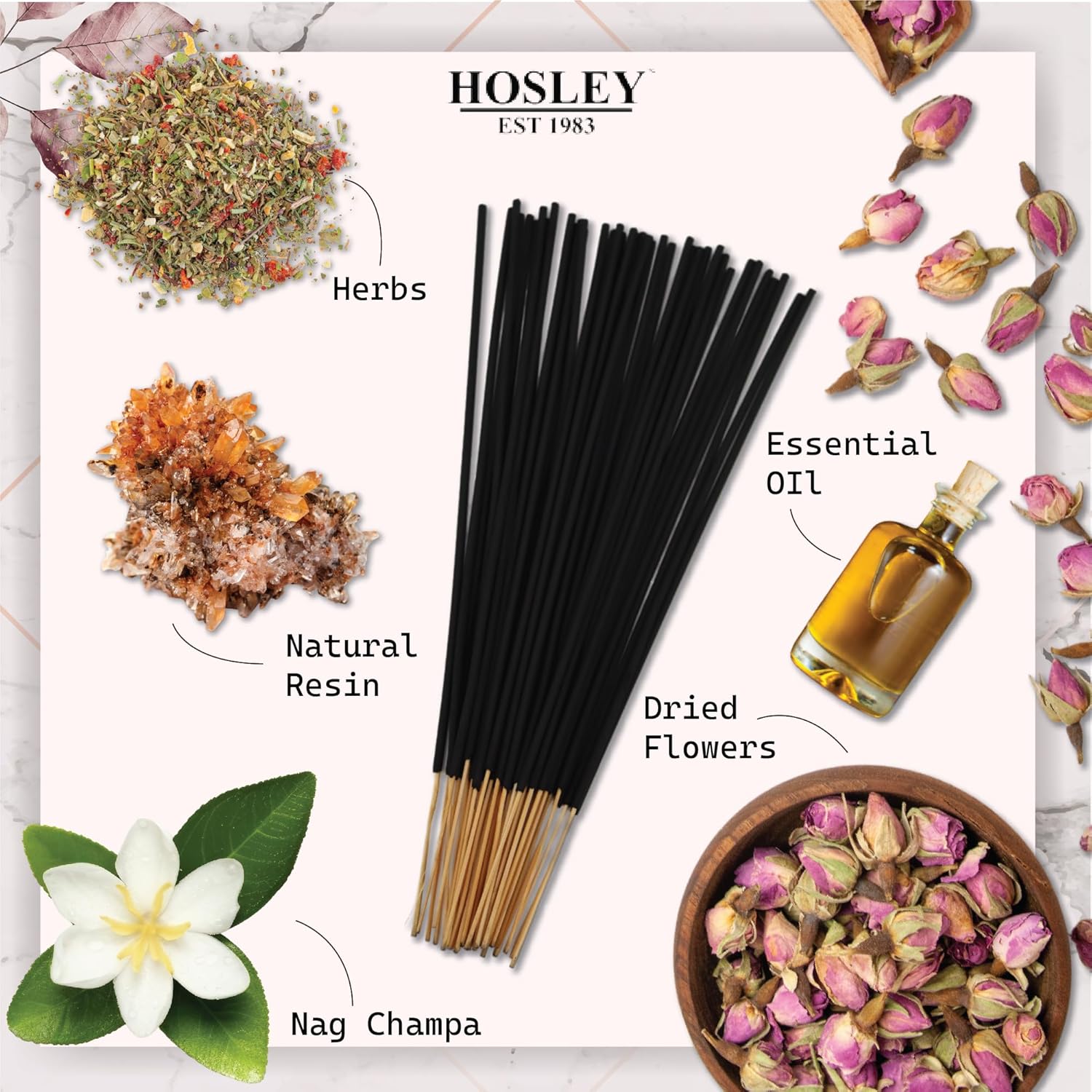 Hosley Nag Champa 240 Incense Sticks Bundle