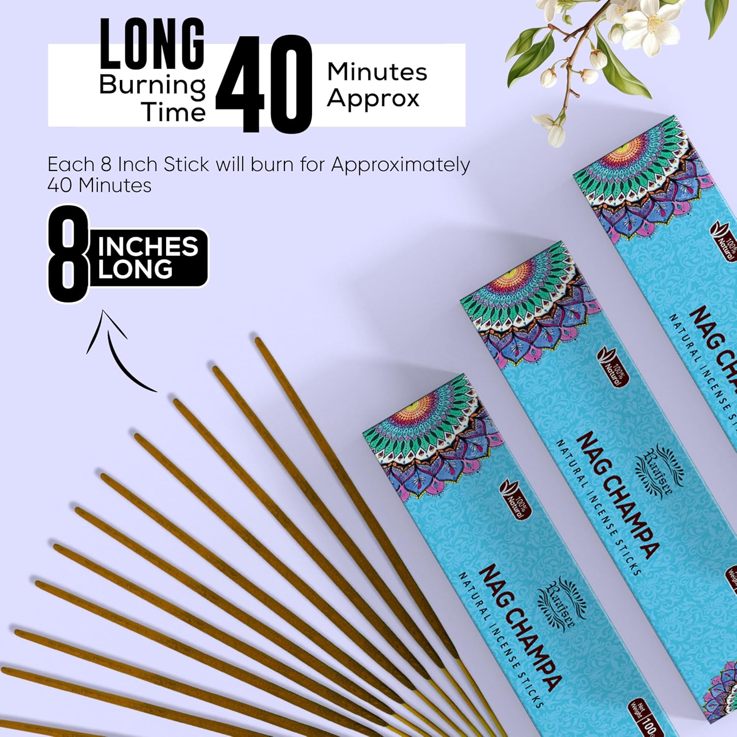 Raajsee Nag Champa Incense Sticks 180gm Pack of 12
