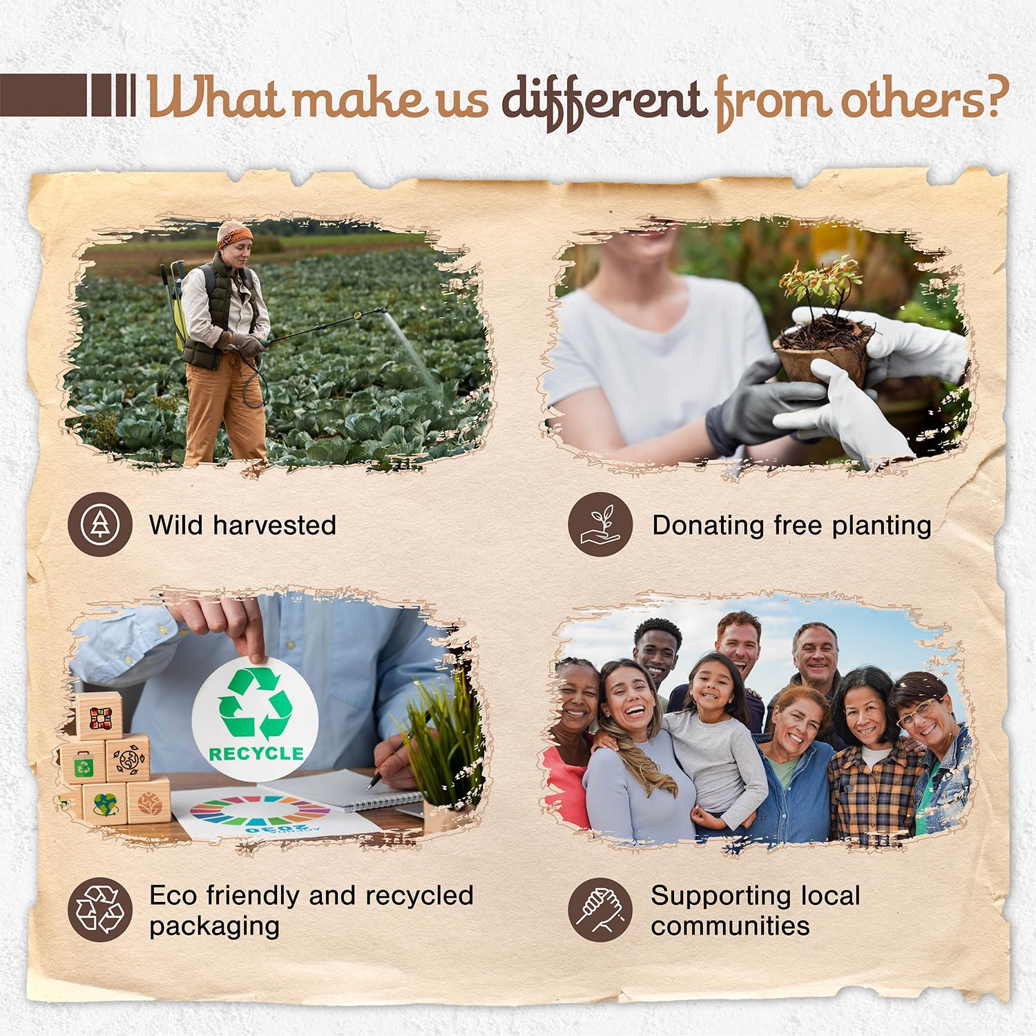 8 Pcs Natural Sandalwood Olibanum Incense Sticks 9 Long Eco Friendly 1hr Burning Time for Healing and Purification