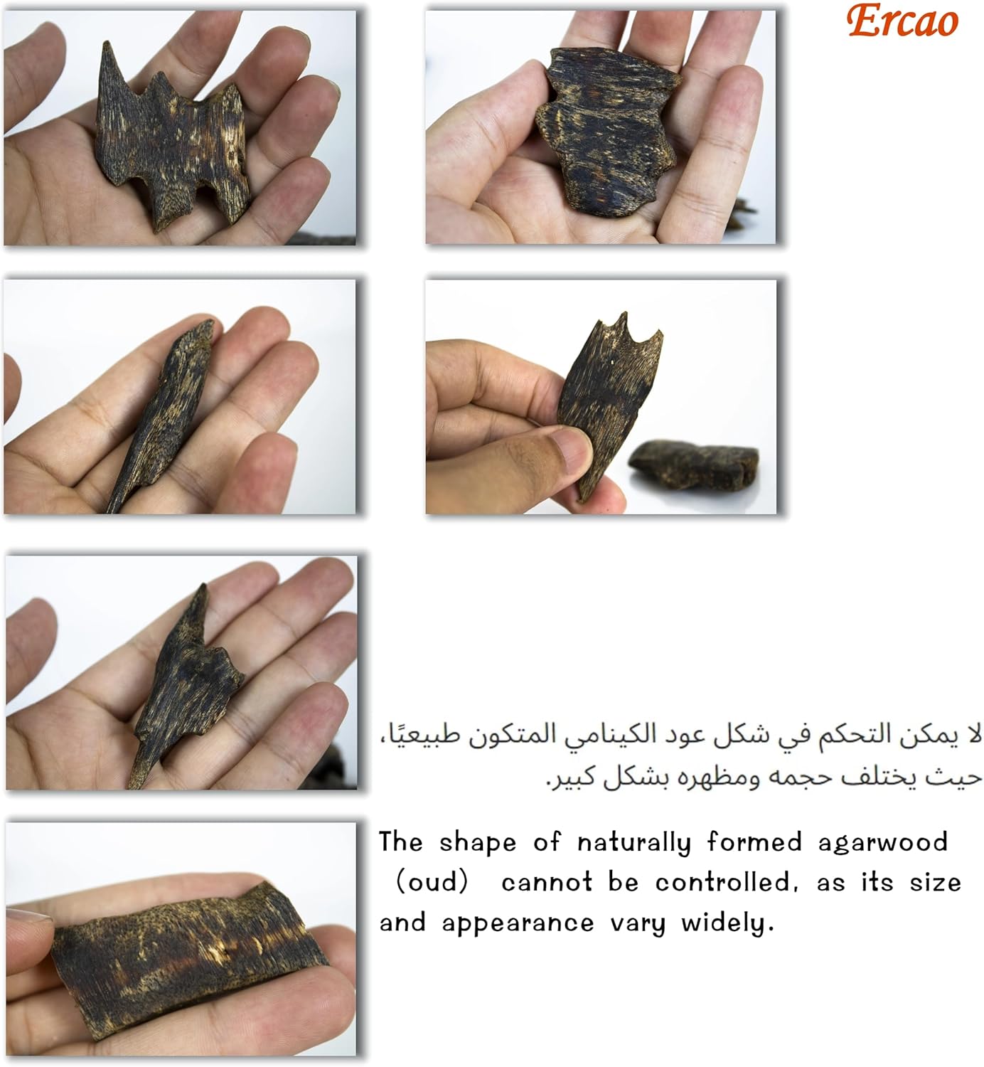 Ercao Kyara Agarwood Incense - Premium Natural Fragrance Pack