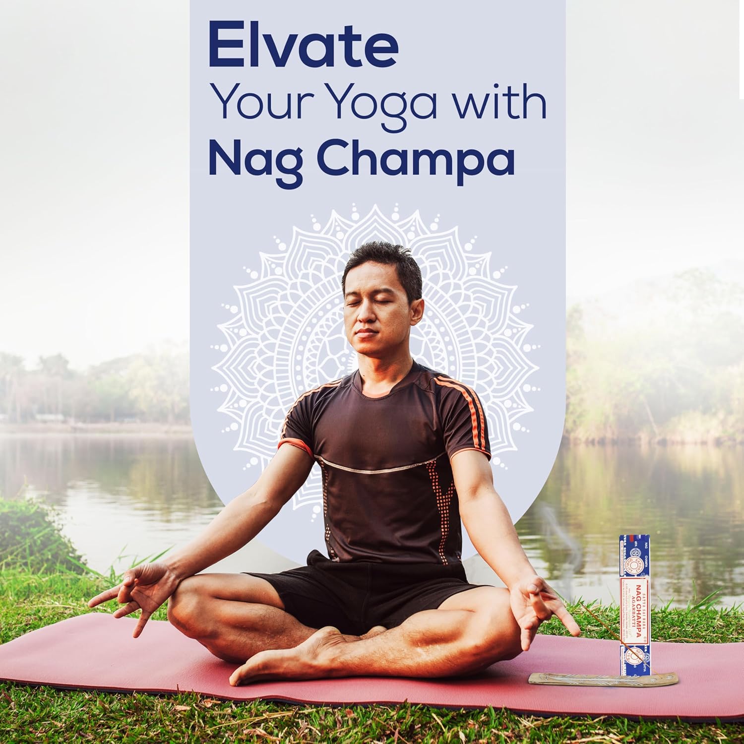 Satya Nag Champa Incense Sticks 45gm Pack with Raajsee Holder