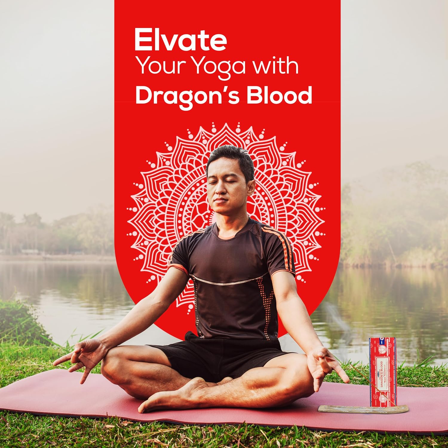 Raajsee Satya Nag Champa Dragon Blood Incense Sticks 250gm Pack with Holder